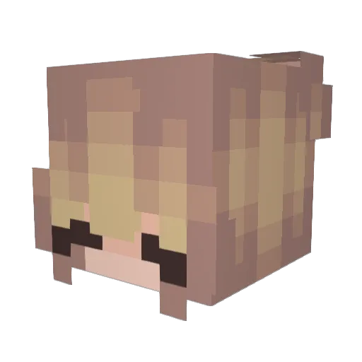 Lhama321 Minecraft avatar head, 3D render