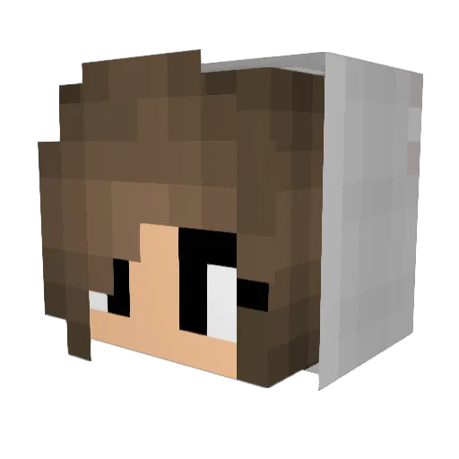 Lhize Minecraft avatar head, 3D render