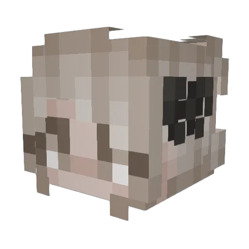 Li3 Minecraft avatar head, 3D render