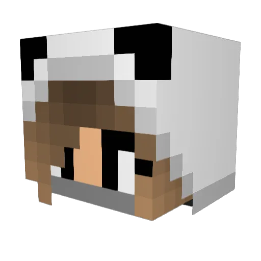 LiLWoorld Minecraft avatar head, 3D render