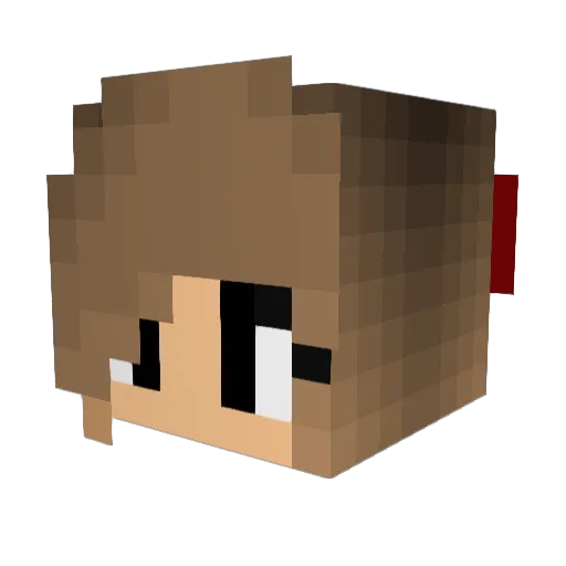 LiLo_19 Minecraft avatar head, 3D render