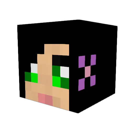 LiLo_78 Minecraft avatar head, 3D render