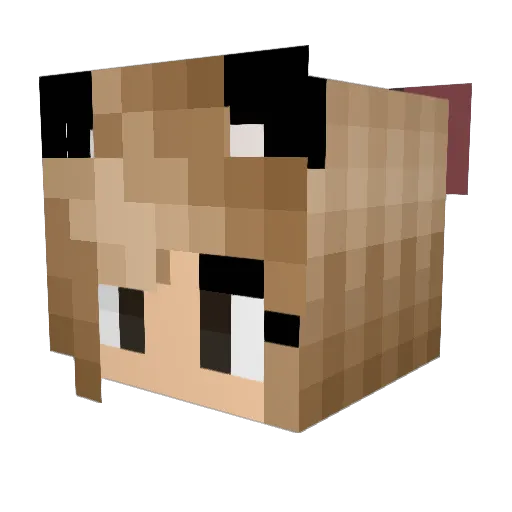 LiNa82001 Minecraft avatar head, 3D render