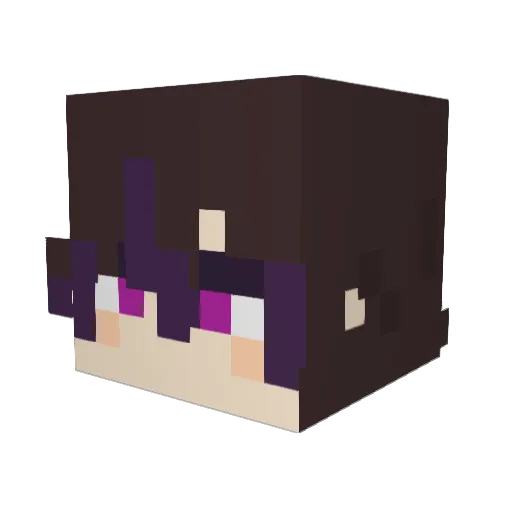 LiPi02 Minecraft avatar head, 3D render