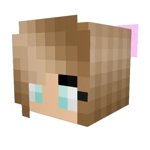 LiQ24 Minecraft avatar head, 3D render