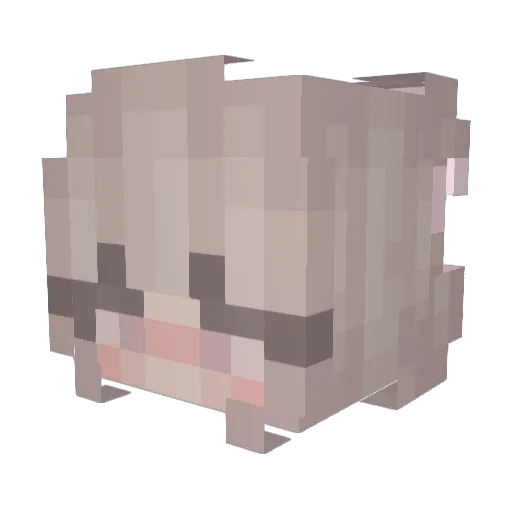 Li_123 Minecraft avatar head, 3D render