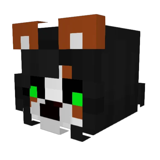 Li_Stardust Minecraft avatar head, 3D render
