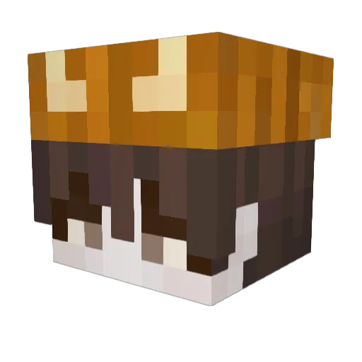 Li_rove Minecraft avatar head, 3D render
