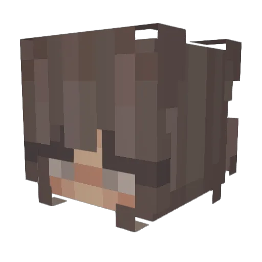 LiaNotFound6218 Minecraft avatar head, 3D render