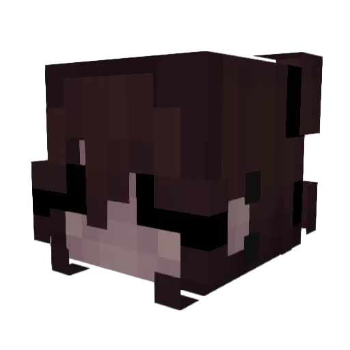 Lia_Werwolf Minecraft avatar head, 3D render