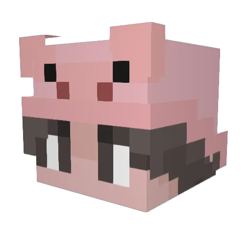 Liaaa126 Minecraft avatar head, 3D render