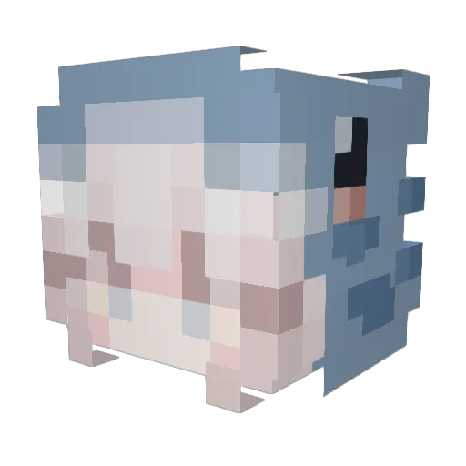 Liaaaa29 Minecraft avatar head, 3D render