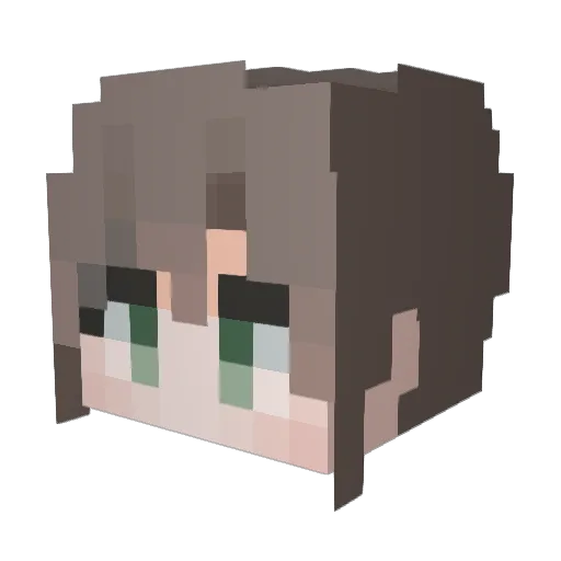Liabilities_ Minecraft avatar head, 3D render