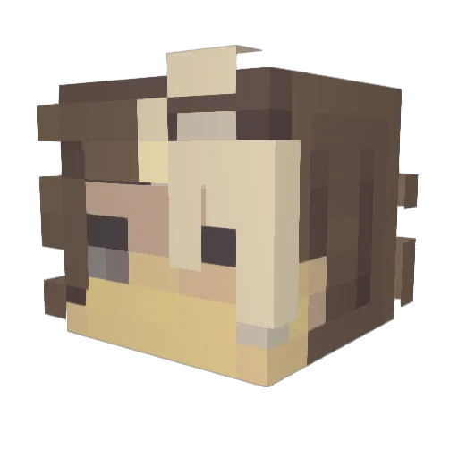 Liaedin Minecraft avatar head, 3D render
