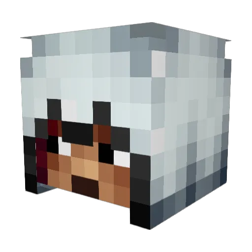 Liam06AK Minecraft avatar head, 3D render