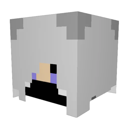 Liam090 Minecraft avatar head, 3D render