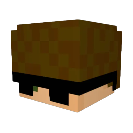 Liam1580 Minecraft avatar head, 3D render