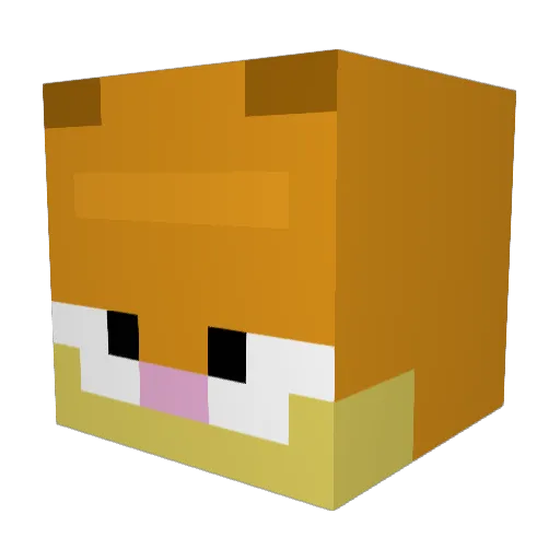 Liam819 Minecraft avatar head, 3D render