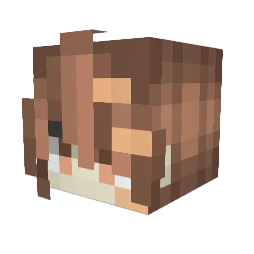 LiamAndreV Minecraft avatar head, 3D render