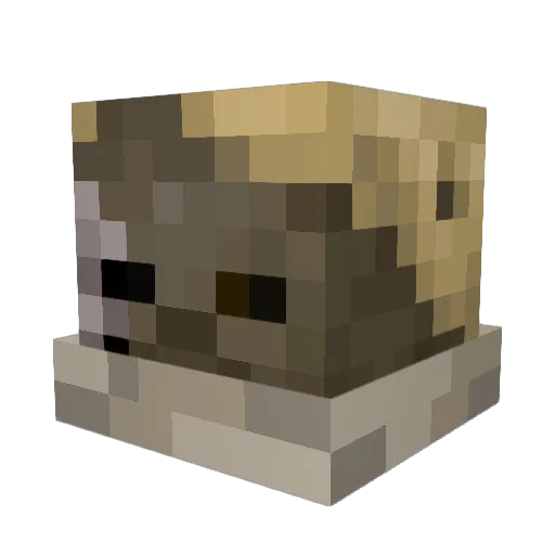 LiamAndrej Minecraft avatar head, 3D render