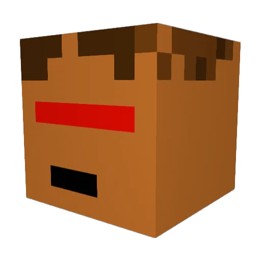 LiamDuck2014 Minecraft avatar head, 3D render