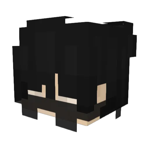 LiamFloki Minecraft avatar head, 3D render