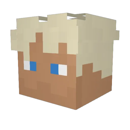 LiamIsStillTaken Minecraft avatar head, 3D render