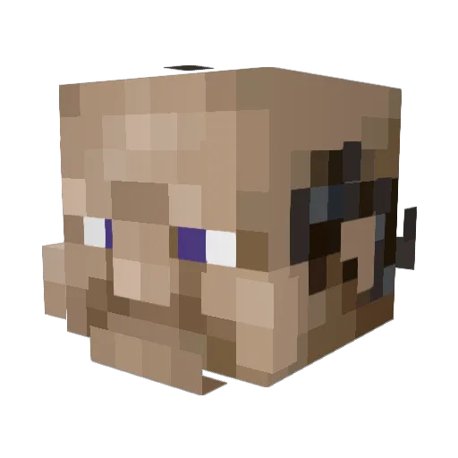 LiamKneson Minecraft avatar head, 3D render