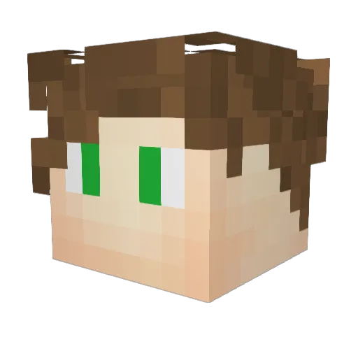 LiamLion57 Minecraft avatar head, 3D render