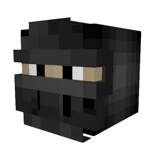LiamMiam Minecraft avatar head, 3D render