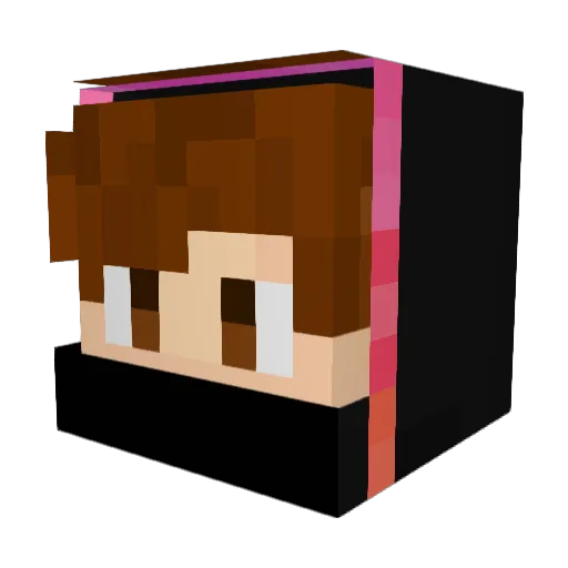 LiamPakka Minecraft avatar head, 3D render