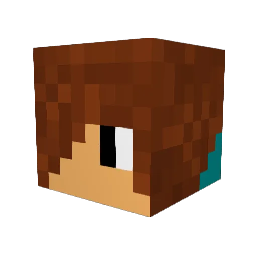 LiamPlaysMC07 Minecraft avatar head, 3D render