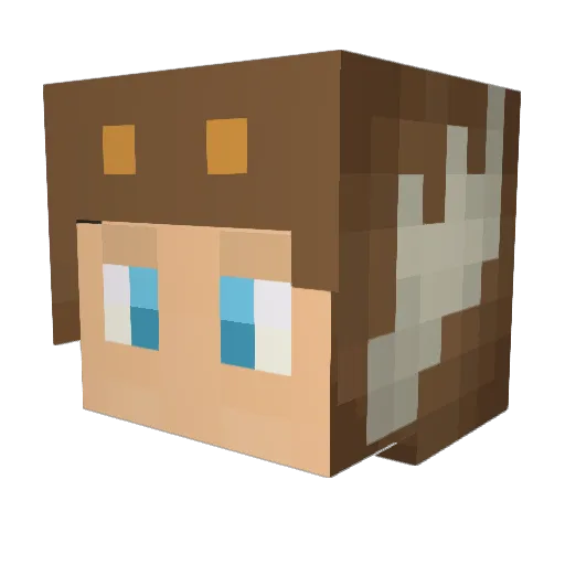 LiamTheMoose Minecraft avatar head, 3D render