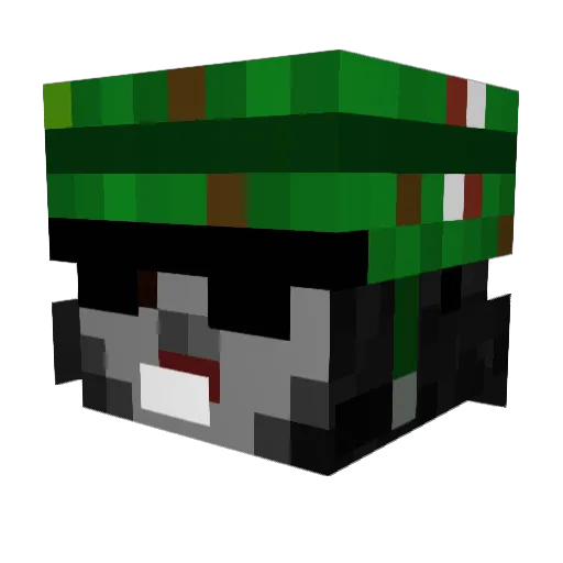 Liam_046 Minecraft avatar head, 3D render