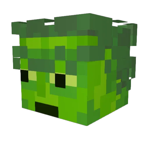 Liam_Fennema Minecraft avatar head, 3D render