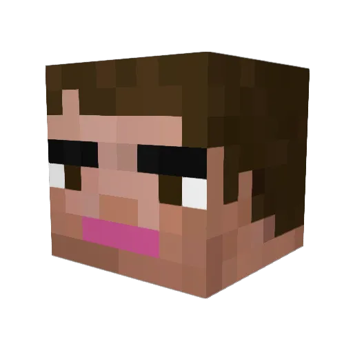 Liamaaa Minecraft avatar head, 3D render