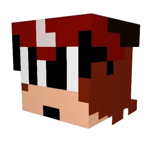 Liamanimations69 Minecraft avatar head, 3D render