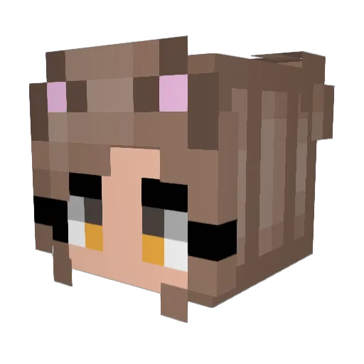 LiamardoDaVinci Minecraft avatar head, 3D render