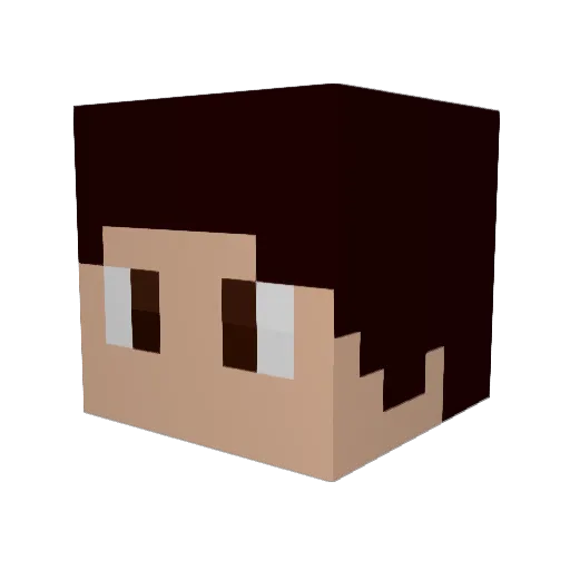 Liambn2003 Minecraft avatar head, 3D render