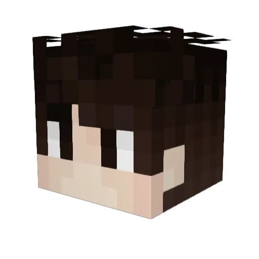 Liamical Minecraft avatar head, 3D render