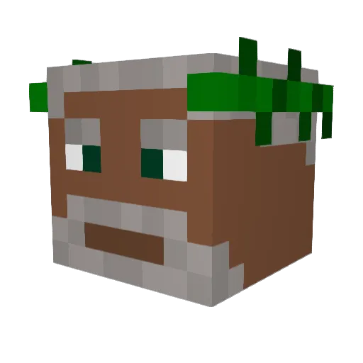 Liamidas1 Minecraft avatar head, 3D render