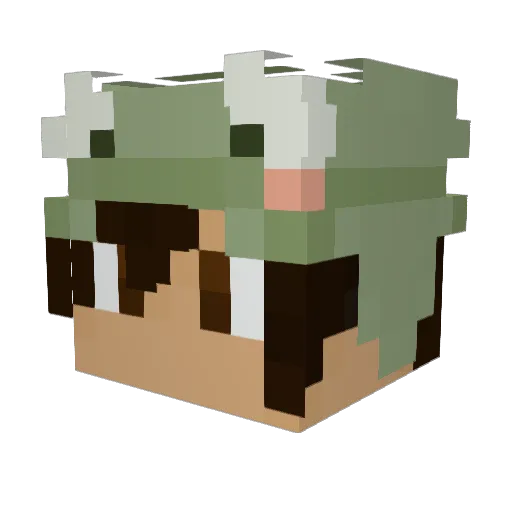 Liamongo Minecraft avatar head, 3D render