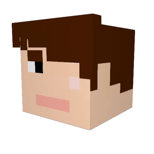 Liams_liamz Minecraft avatar head, 3D render
