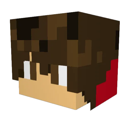 LiamtheBeast71 Minecraft avatar head, 3D render