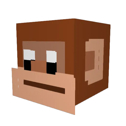Liamtheking2010 Minecraft avatar head, 3D render