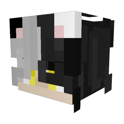 Liamthelime9724 Minecraft avatar head, 3D render