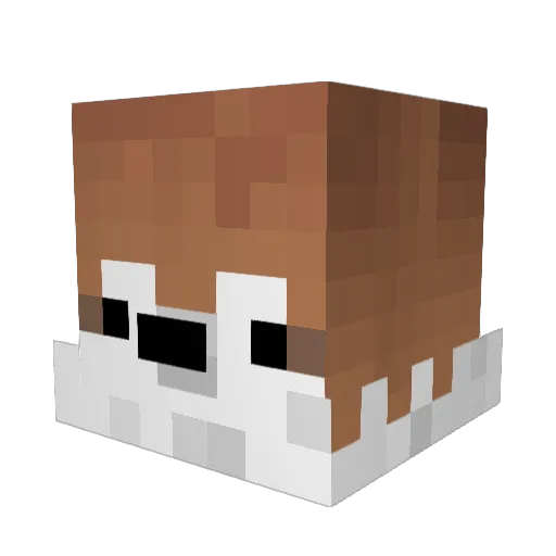 Lian1118 Minecraft avatar head, 3D render