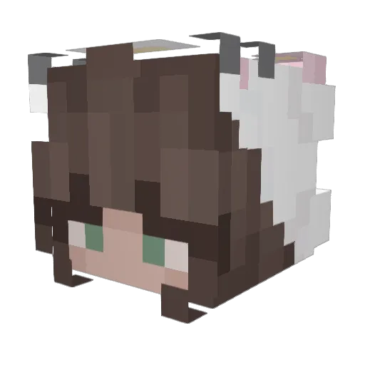 Lian191584 Minecraft avatar head, 3D render