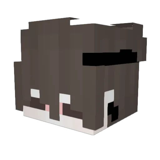 Liang666666 Minecraft avatar head, 3D render