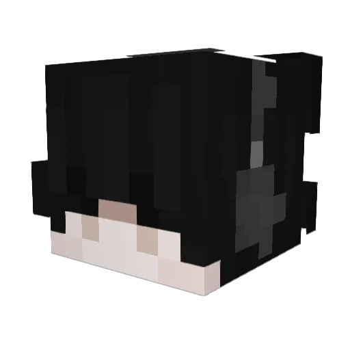 Liangliang626 Minecraft avatar head, 3D render